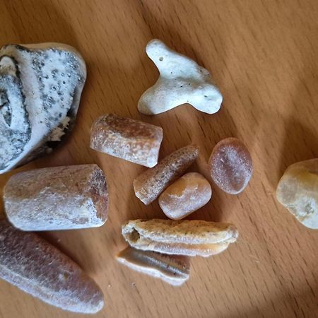 Ferienwohnung-Wildblume Petersdorf auf Fehmarn ภายนอก รูปภาพ