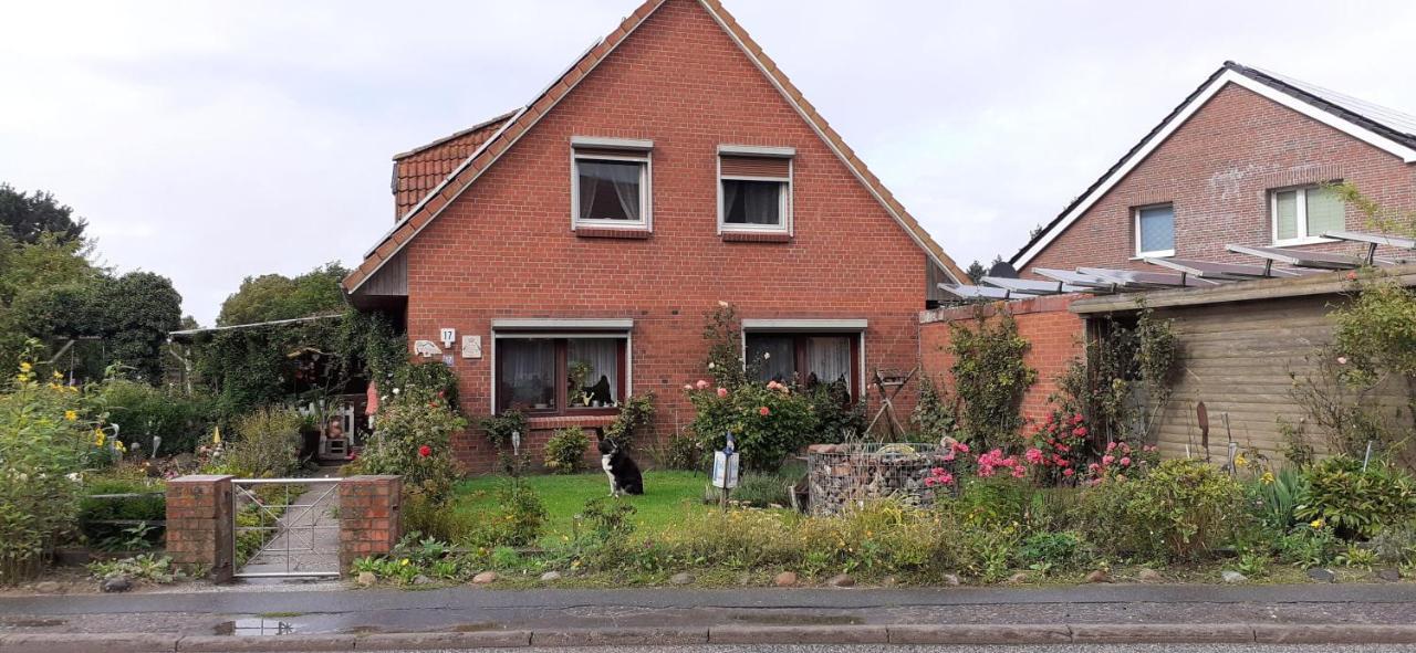 Ferienwohnung-Wildblume Petersdorf auf Fehmarn ภายนอก รูปภาพ