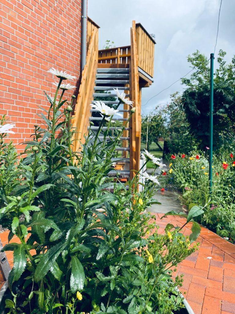 Ferienwohnung-Wildblume Petersdorf auf Fehmarn ภายนอก รูปภาพ